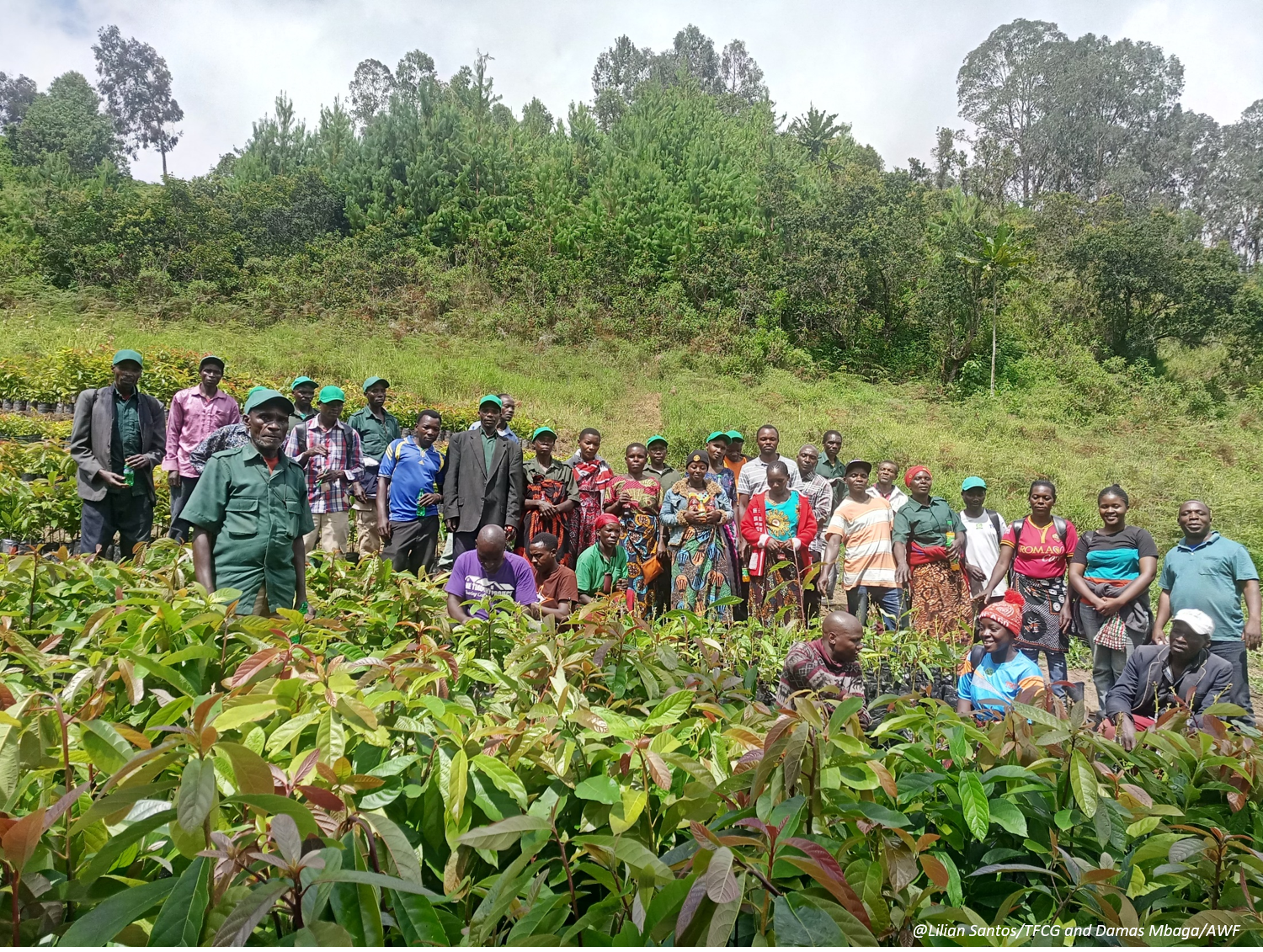 ABCG GCI reforestation activity in Mngeta Valley Tanzania organized the African Wildlife Foundation and the Tanzania Forest Working Group 