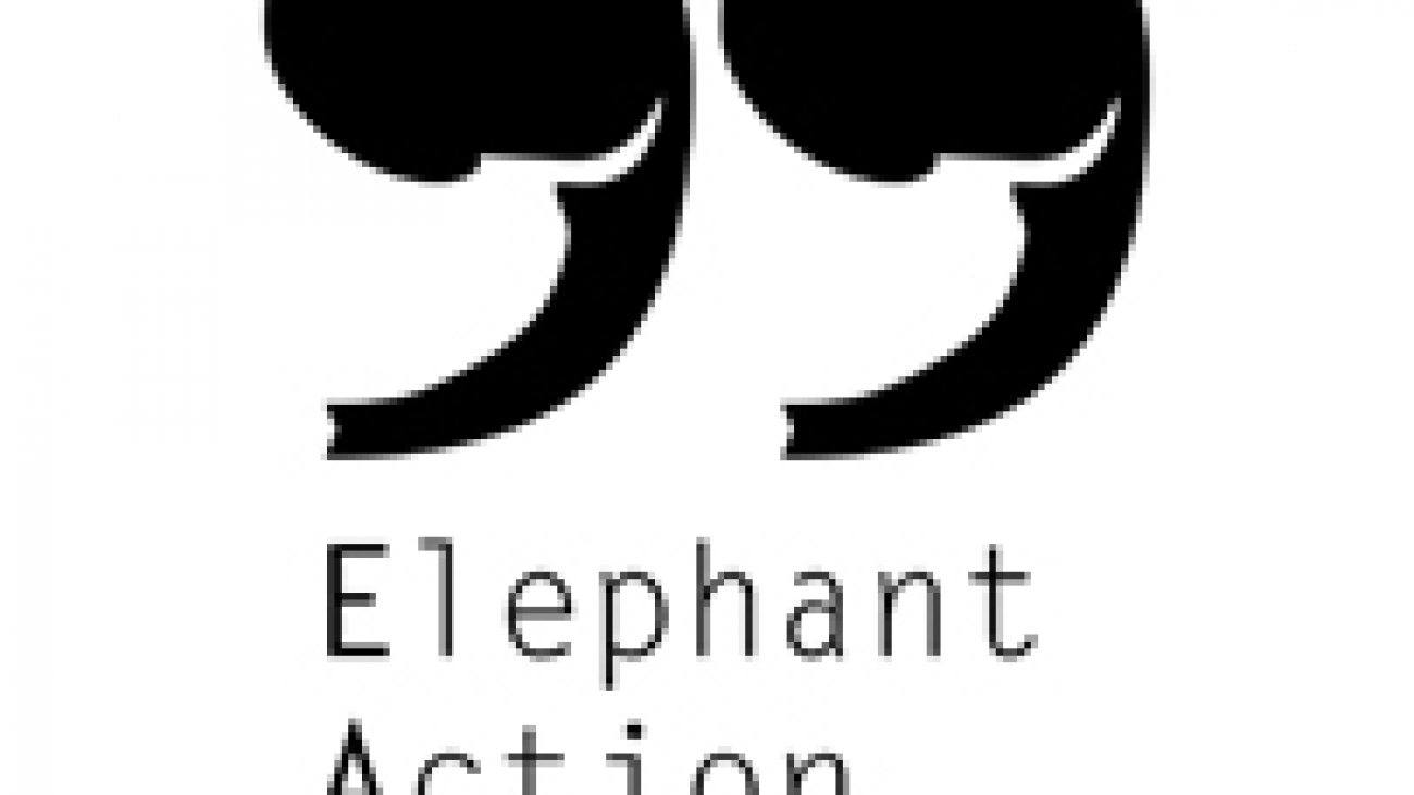 elephant_league