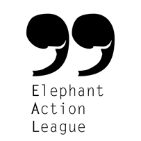 elephant_league