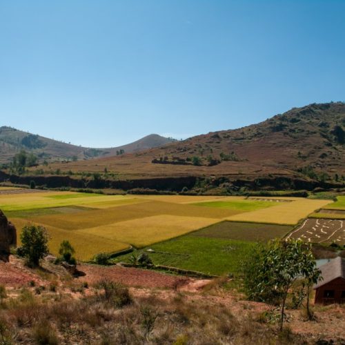 Madagascar countryside