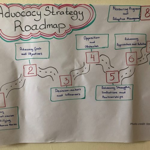 ABCG FWWASH advocacy strategy planning training 2019