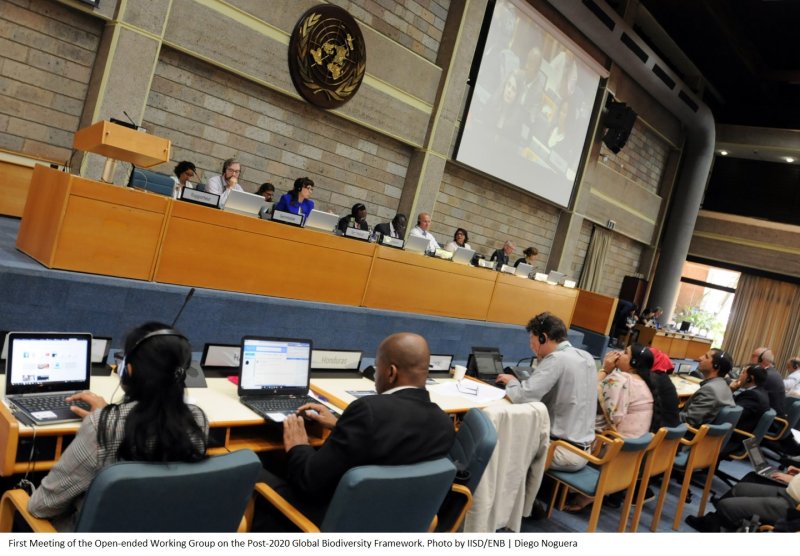 First Meeting of the Open-ended Working Group on the Post-2020 Global Biodiversity Framework. Photo by IISD/ENB | Diego Noguera