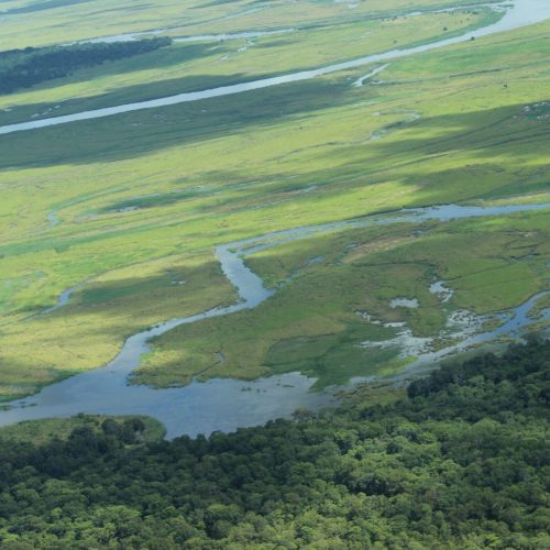 Kilombero landscape