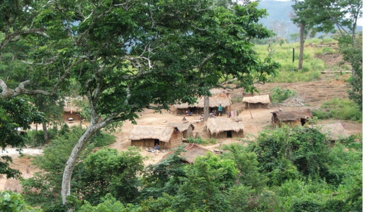 Village view in the Kabobo Wildlife Reserve.Photo credit: Nyembo Paluku, WCS