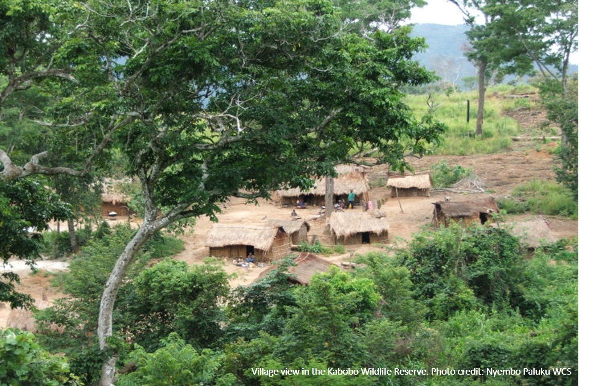 Village view in the Kabobo Wildlife Reserve.Photo credit: Nyembo Paluku, WCS