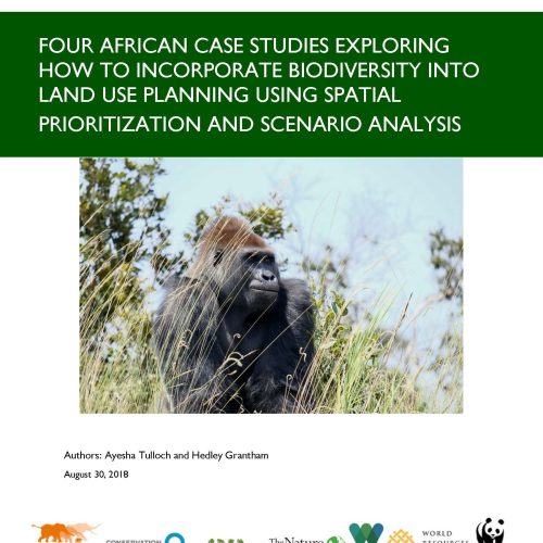Four African Case Studies Report Cover Page