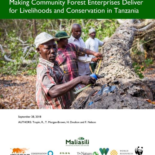 Community Forest Enterprises Report Cover Page Image