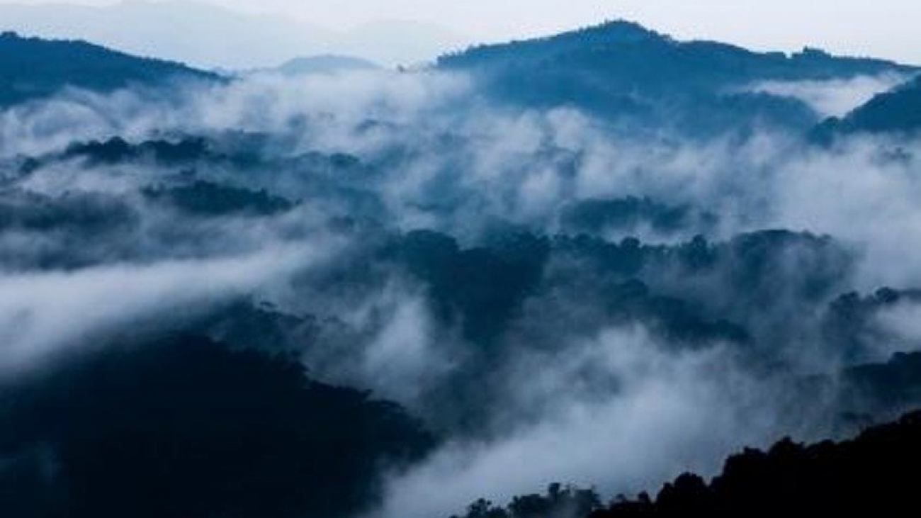 Clouds rise through Bwindi Impenetrable National Park