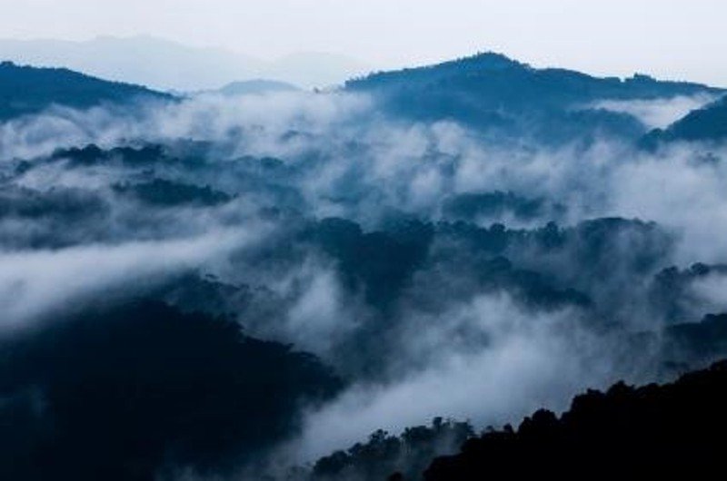 Clouds rise through Bwindi Impenetrable National Park