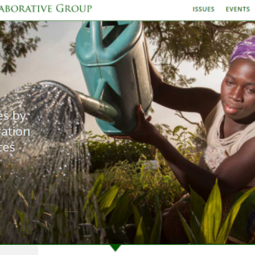 Website redesign homepage