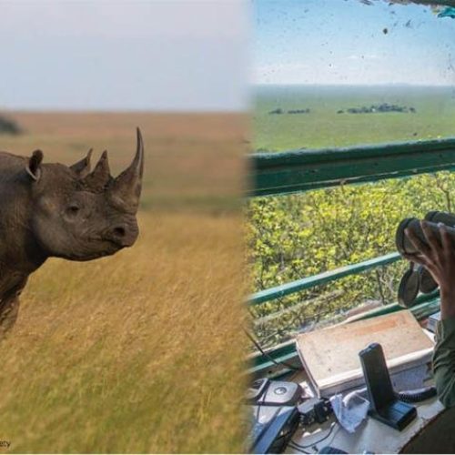 2019 Frankfurt Zoological Society Brownbag Banner Image
