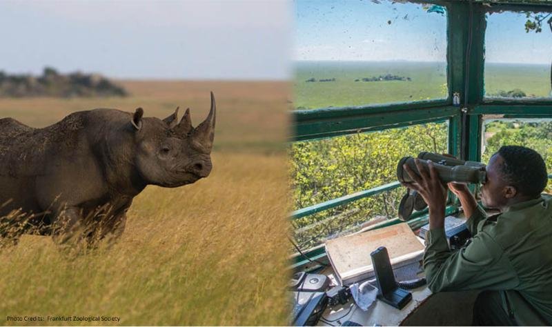 2019 Frankfurt Zoological Society Brownbag Banner Image