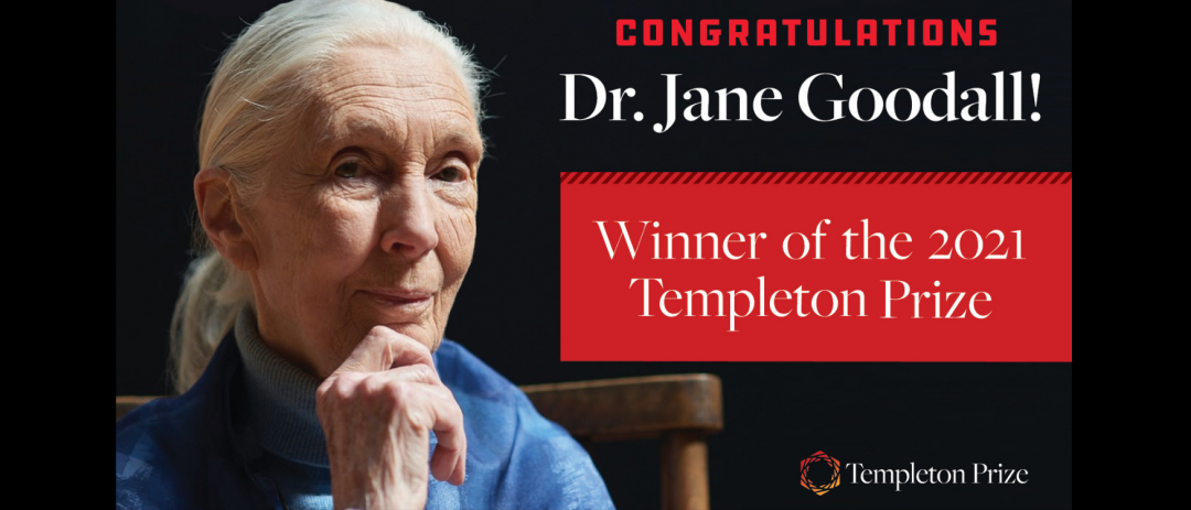 Founder of ABCG Member Organization, the Jane Goodall Institute, Wins