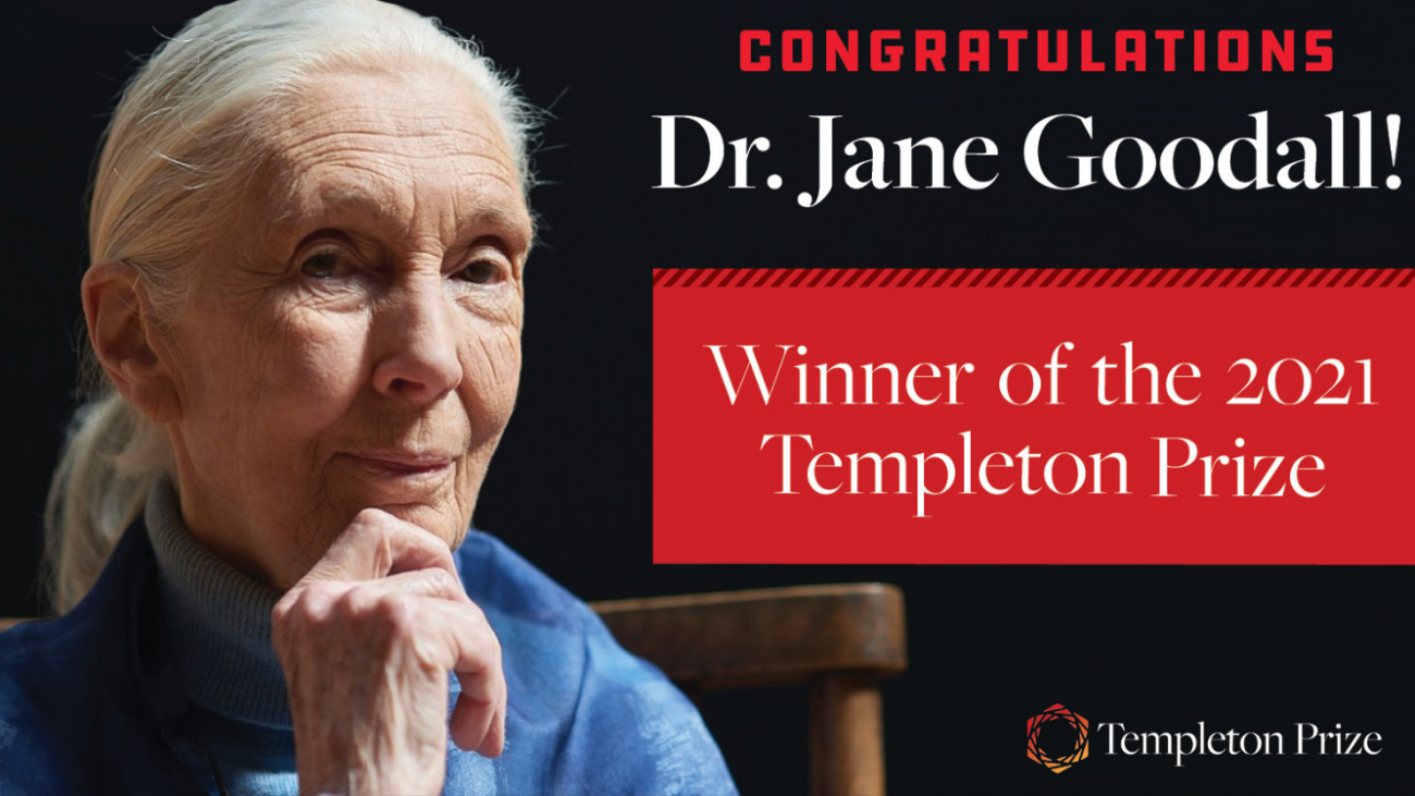 Dr. Jane Goodall Honored as Templeton Prize Laureate for 2021_60a66689949bc.png