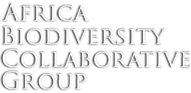 Africa Biodiversity Collaborative Group (ABCG)