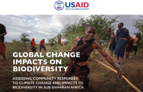 2022 ABCG Global Change Impacts on Biodiversity Brief