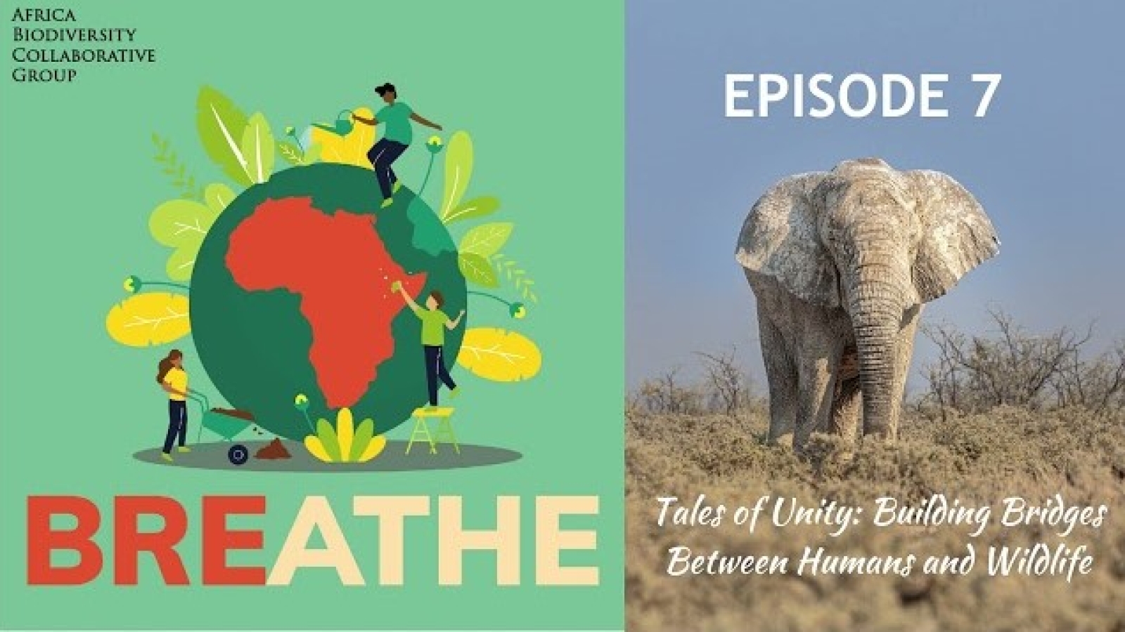 ABCG Podcast Building Bridges Between Humans and Wildlife