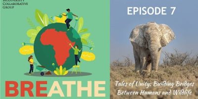 ABCG Podcast Building Bridges Between Humans and Wildlife