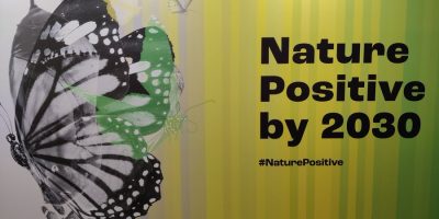 Nature positive 2030 COP15